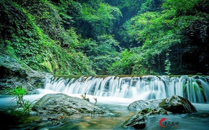 武则天到寺庙剃度为尼，说了八个字，老尼听后吓得剃刀差点落地